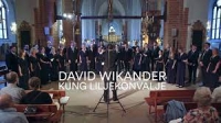 David Wikander